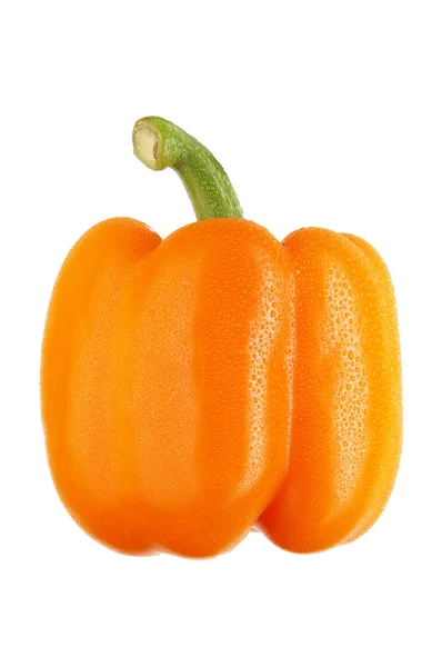 Oranžové papriky s kapkami na bílém pozadí — Stock fotografie