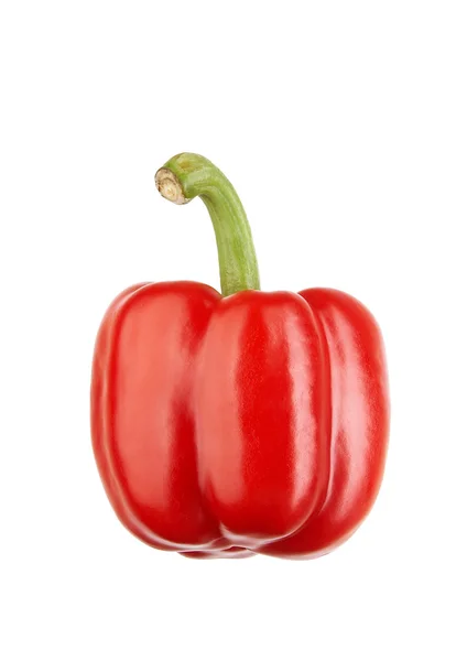 Xxl červená sladká paprika — Stock fotografie
