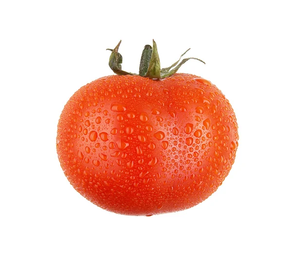 Свежий помидор с капельками, XXL — стоковое фото