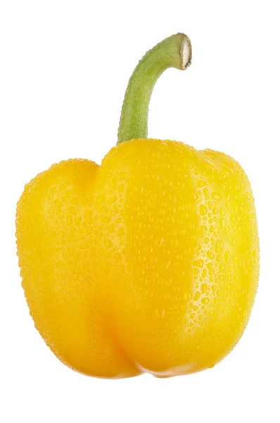 Yellow sweet pepper with drops on white — Stock Photo, Image