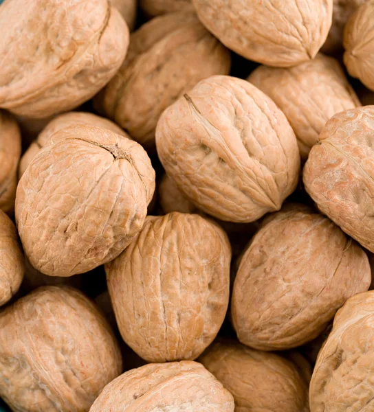 Closeup of Europian walnuts - background — Stock Photo, Image