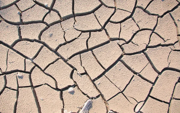 stock image Cracked and Arid Mud Ground Dry without water