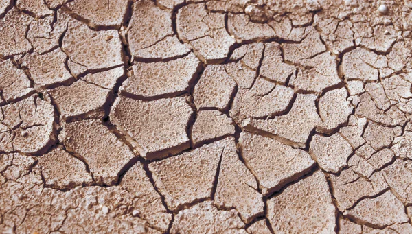 Cracked and Arid Mud Ground Dry without water — Stock Photo, Image