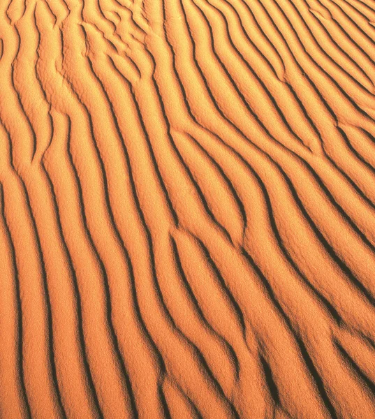 stock image Natural pattern in sand dunes.