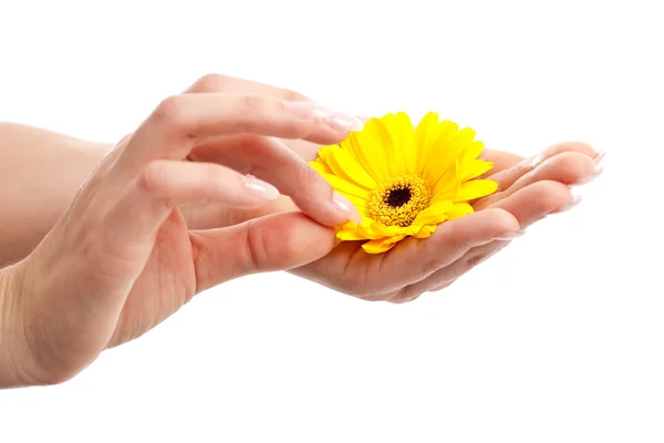 stock image Picking the petals