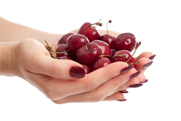 Руки полны свежих ягод — стоковое фото