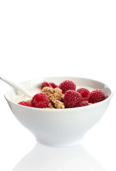 Bowl of raspberry dessert — Stock Photo, Image