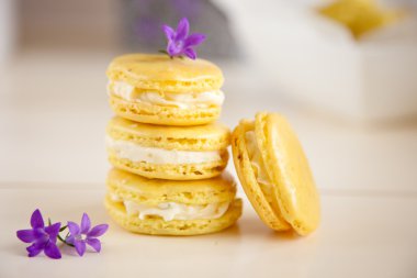 limon mascarpone macarons