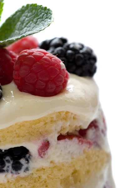 Sumptuous dessert — Stock Photo, Image