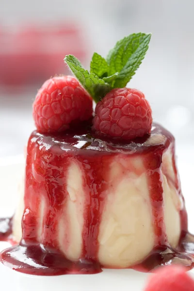 Heerlijke panna cotta dessert — Stockfoto