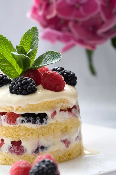 Delicious dessert — Stock Photo, Image
