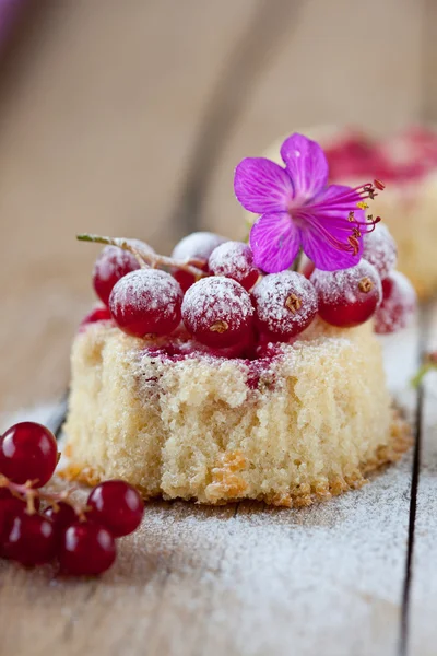 Currant cupcake — Stock Photo, Image