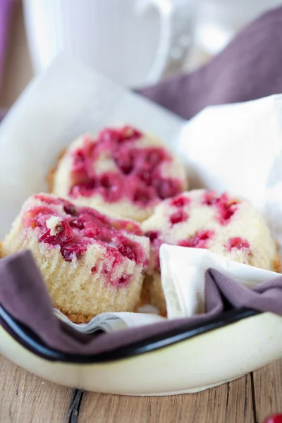 Kis cupcake piros ribiszke — Stock Fotó
