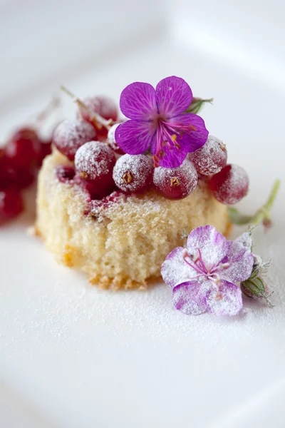 Liten cupcake med röda vinbär — Stockfoto