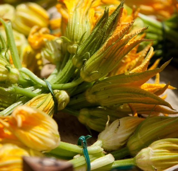 stock image Zucchini flowers