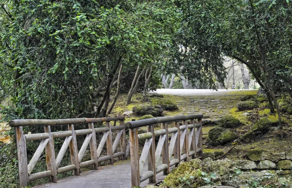 stock image Wooden bridge