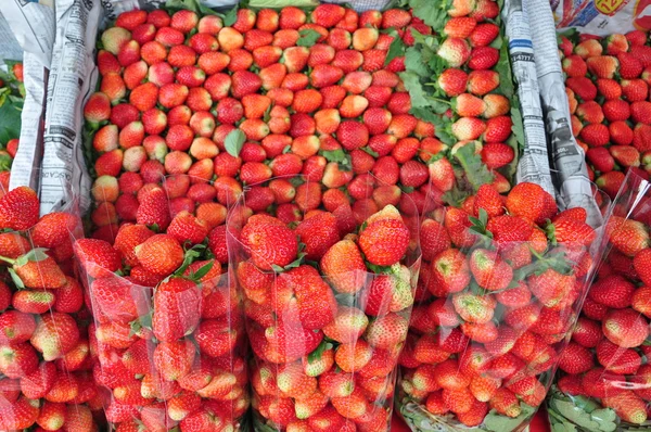 Feshy strawberry from organic farm — Stock Photo, Image