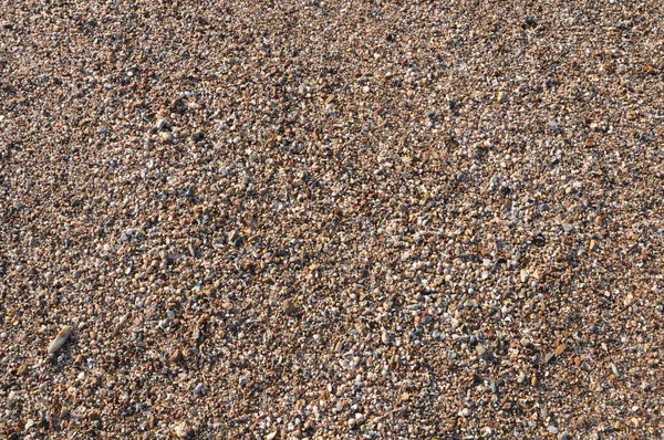 Zand en kleine zeeschelp — Stockfoto