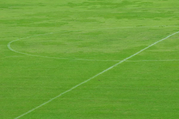 Grass in football stadium — Stock Photo, Image