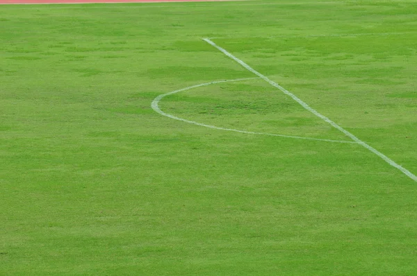 Grass in football stadium 2 — Stock Photo, Image