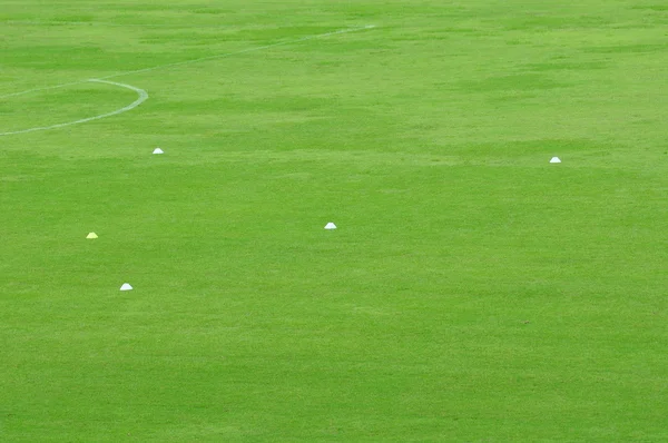 Grass in football stadium 3 — Stock Photo, Image