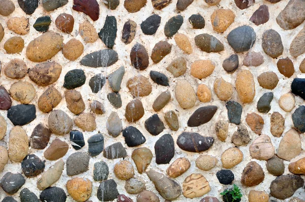 Natuur stenen muur achtergrond — Stockfoto