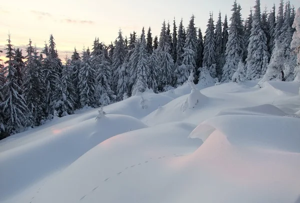 Sabah kar kırmızı — Stok fotoğraf