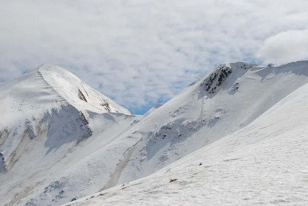 冬の山 goverla — ストック写真