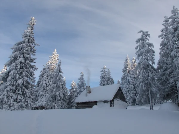 Маленький домик в зимнем лесу — стоковое фото