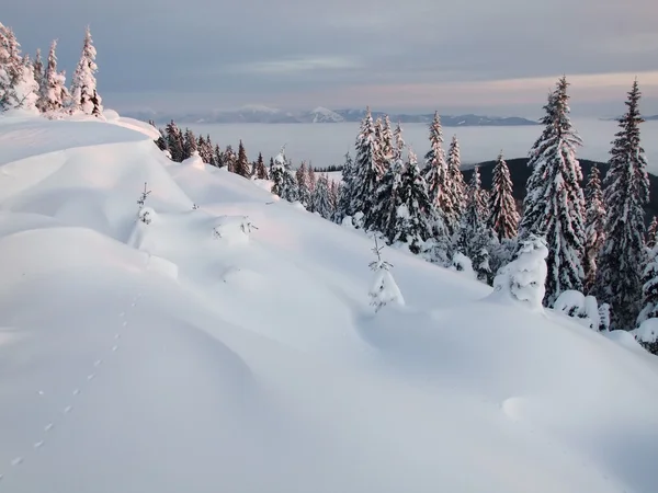 Взимку біля підніжжя пагорба — стокове фото