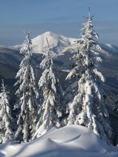 Talvi vuorilla — kuvapankkivalokuva