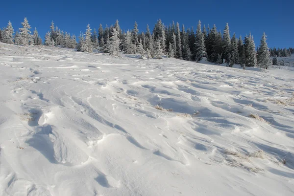 冬季山坡 — 图库照片