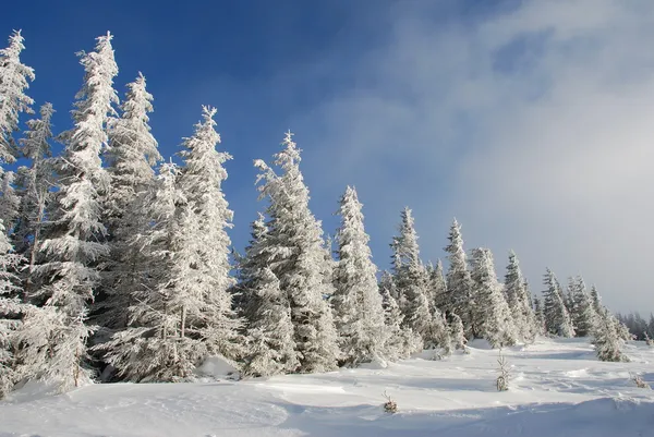 Encosta de inverno — Fotografia de Stock