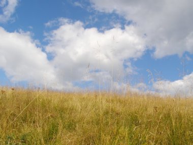 Hillside bulutlar altında