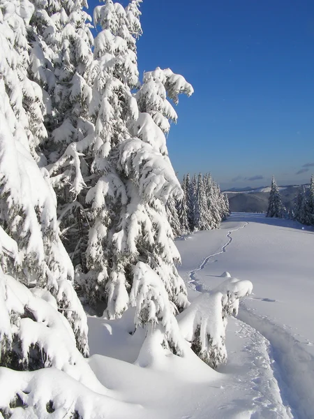 Winterloipen in den Bergen. — Stockfoto
