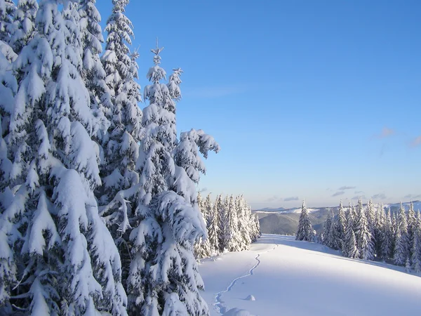 Winterloipen in den Bergen. — Stockfoto