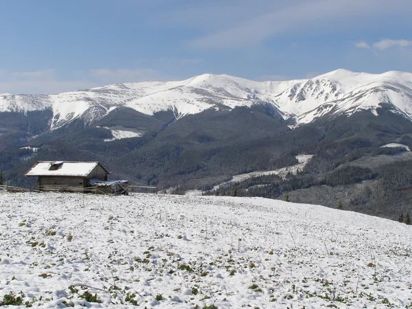 Cabaña en las montañas en la primavera . — Foto de Stock