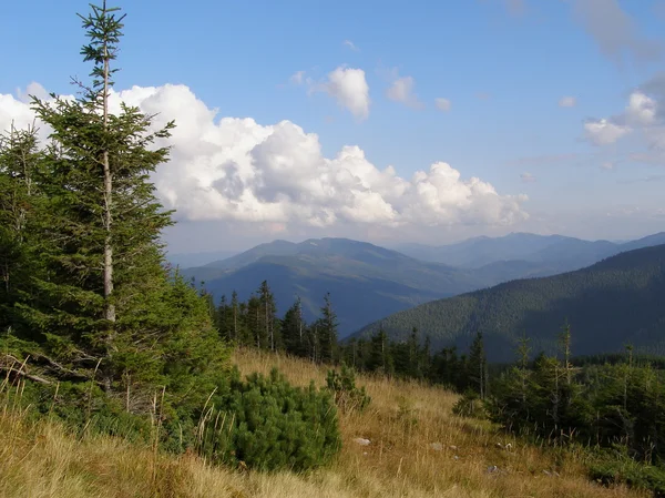 Hillside — Stock Photo, Image