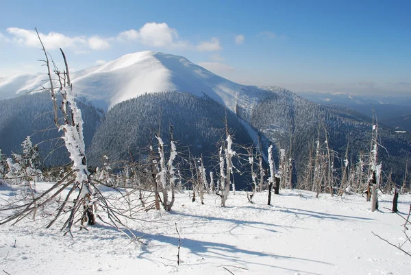 Góry zimą — Zdjęcie stockowe