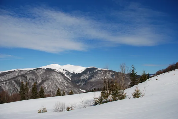 冬の山の風景. — ストック写真