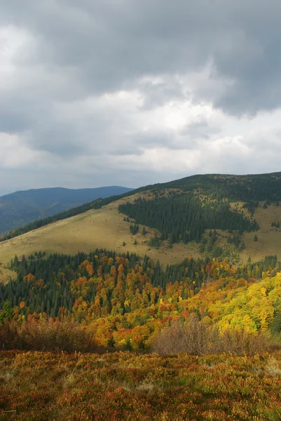 Осень в горах . — стоковое фото