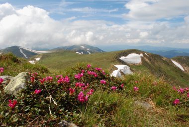 dağlarda yaz.