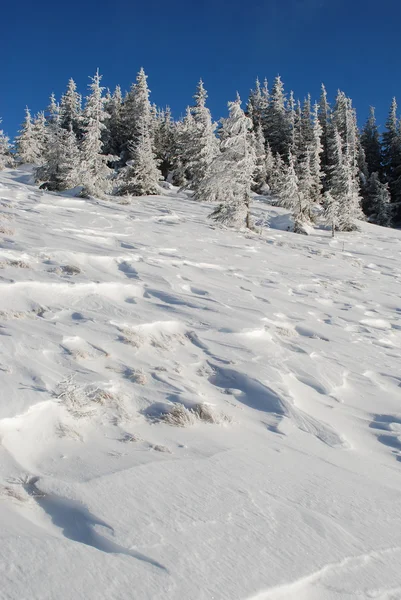 Inverno neve collina — Foto Stock