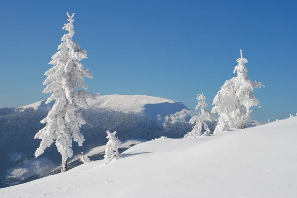 겨울 언덕 — 스톡 사진