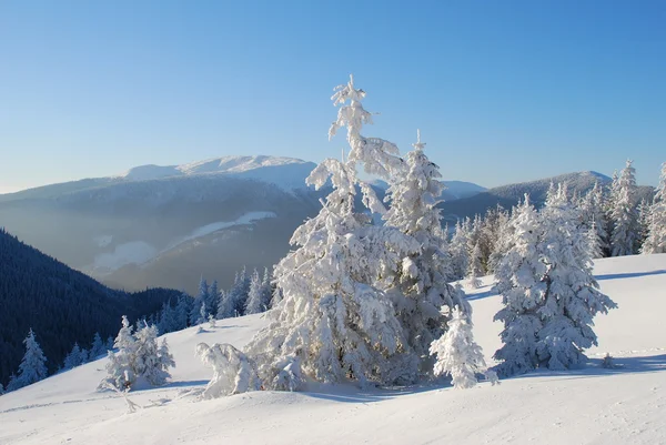 Winter hillside. — Stock Photo, Image