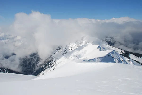 Declive de inverno de montanha em nuvens . — Fotografia de Stock