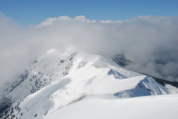 Зимний склон горы в облаках . — стоковое фото