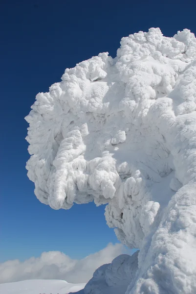 Witte uitwassen van sneeuw — Stockfoto
