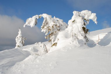 Beyaz hillside.