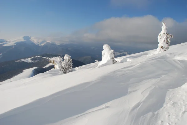 백색 언덕 — 스톡 사진